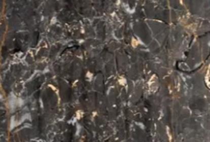 سنگ مرمریت گلدن بلک
